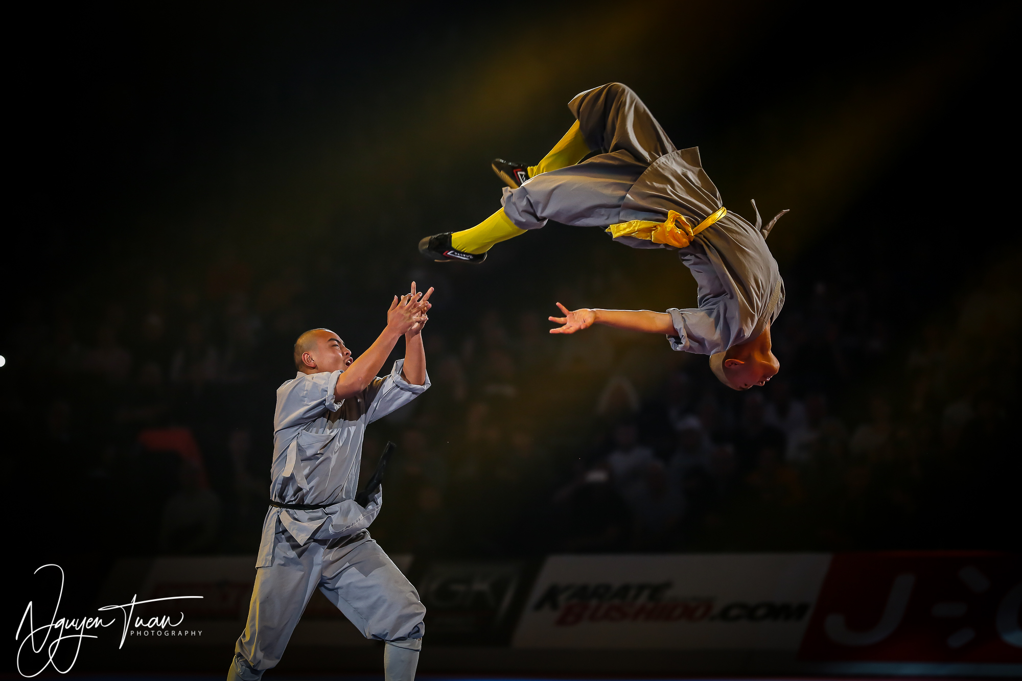 20190324 Festival des Arts Martiaux 5376